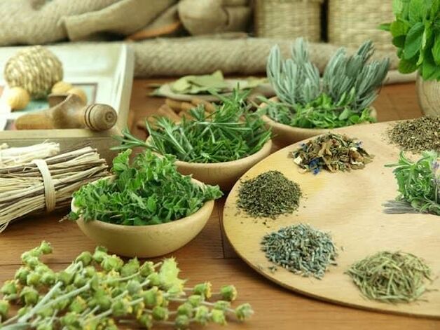 Power Phytotherapy